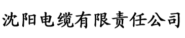 少年阿兵电缆厂logo